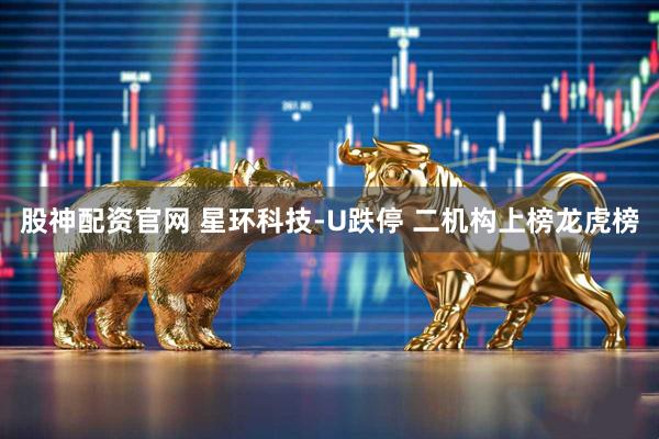股神配资官网 星环科技-U跌停 二机构上榜龙虎榜